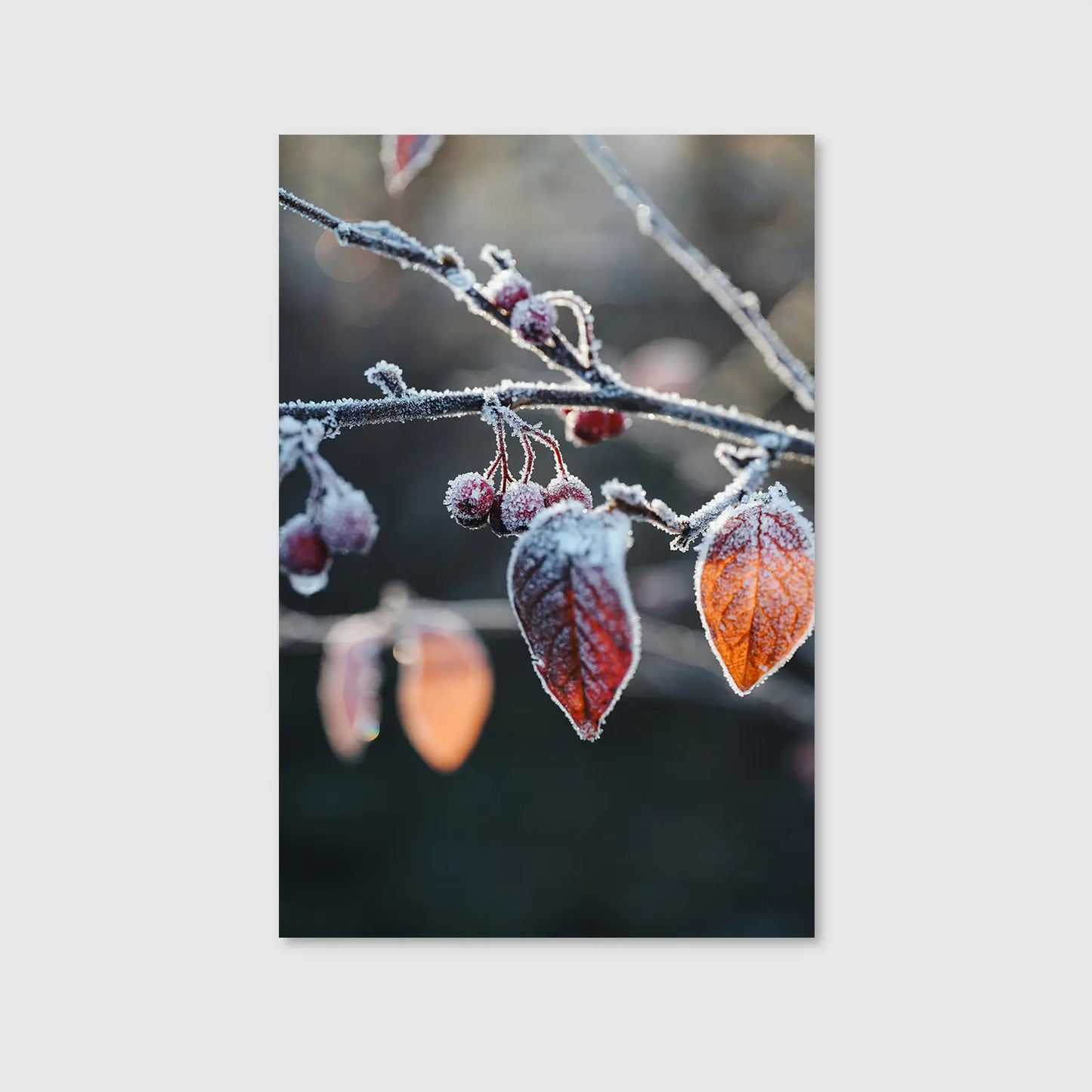 Frozen Garnet (Graphic Only) - Serene Nature Wall Art for Living room