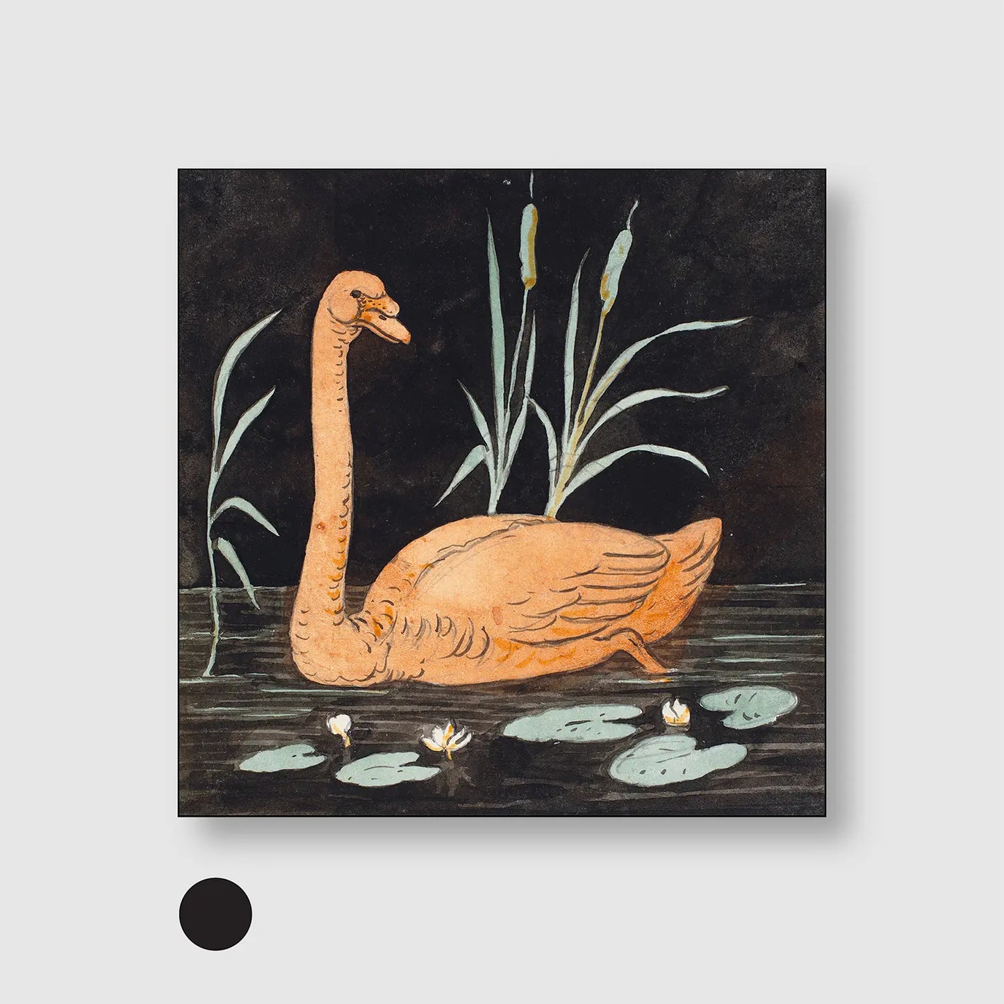 Swan on a black background (Graphic Only) with Black Frame - Playful Animals Wall Art