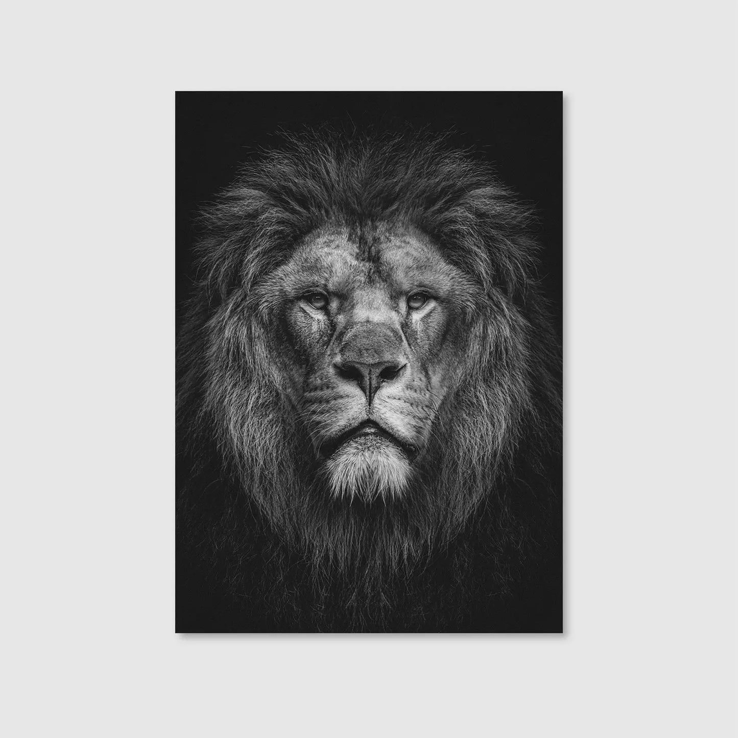 King of Stillness (Graphic Only) - Dramatic Animals Wall Art for Office