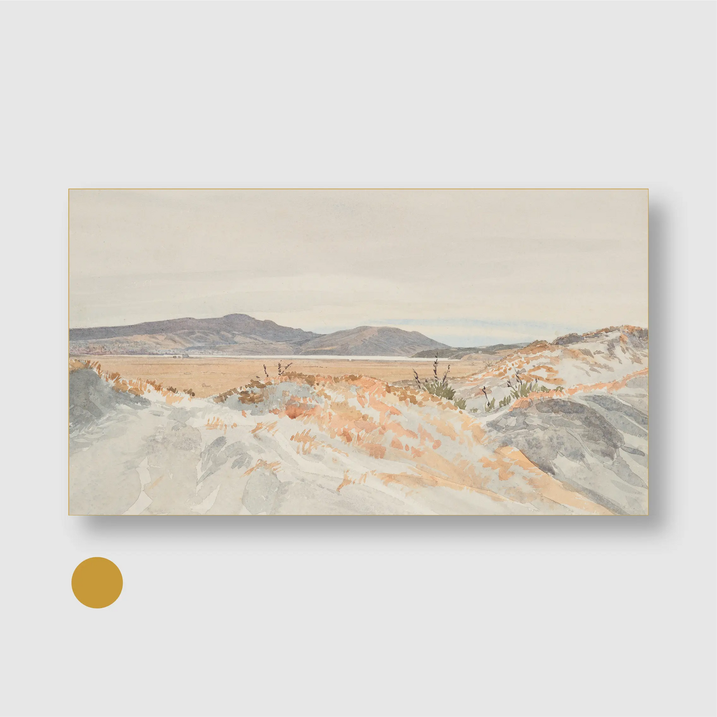 Coastal Dunes Landscape