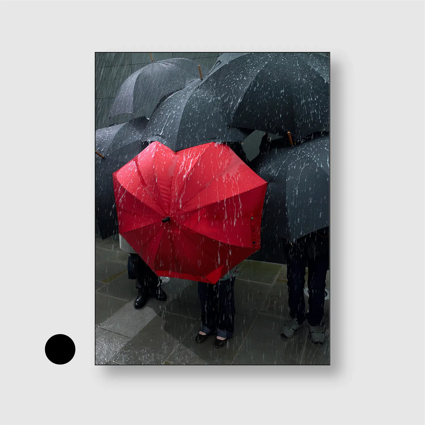 Rebel Rain Red