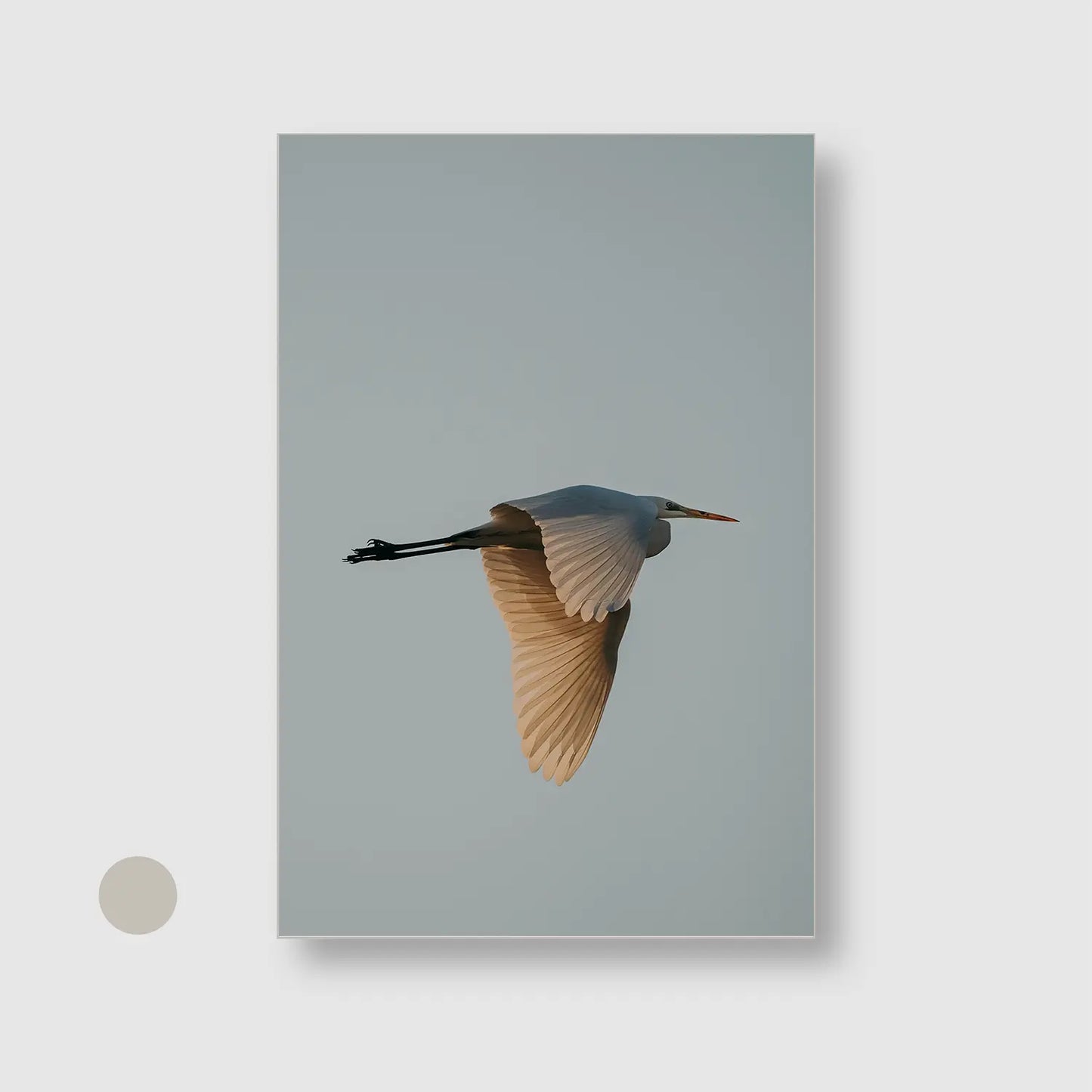 Solitary Soar (Graphic Only) with Silver Frame - Serene Nature Wall Art