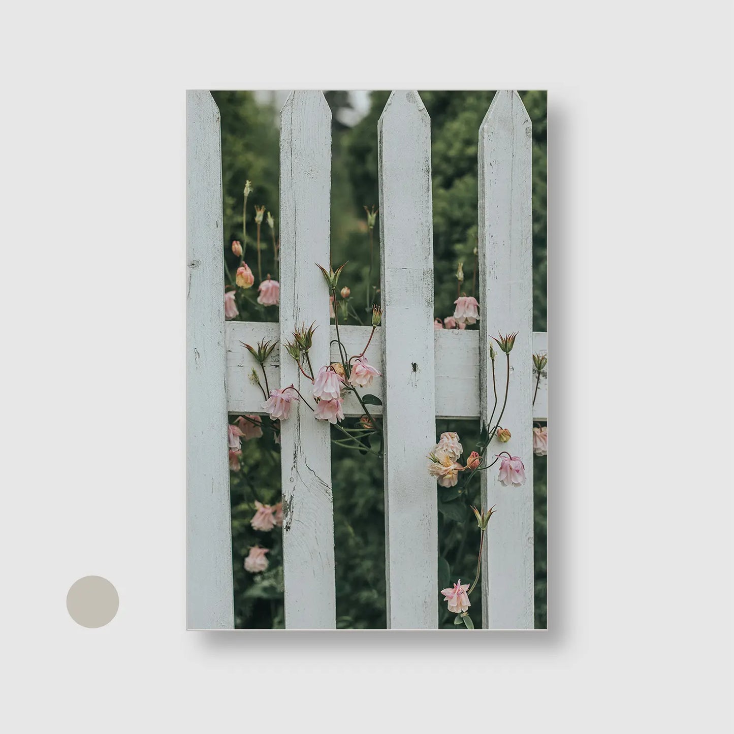 Blush Between the Boards with Silver Frame - Serene Nature Wall Art