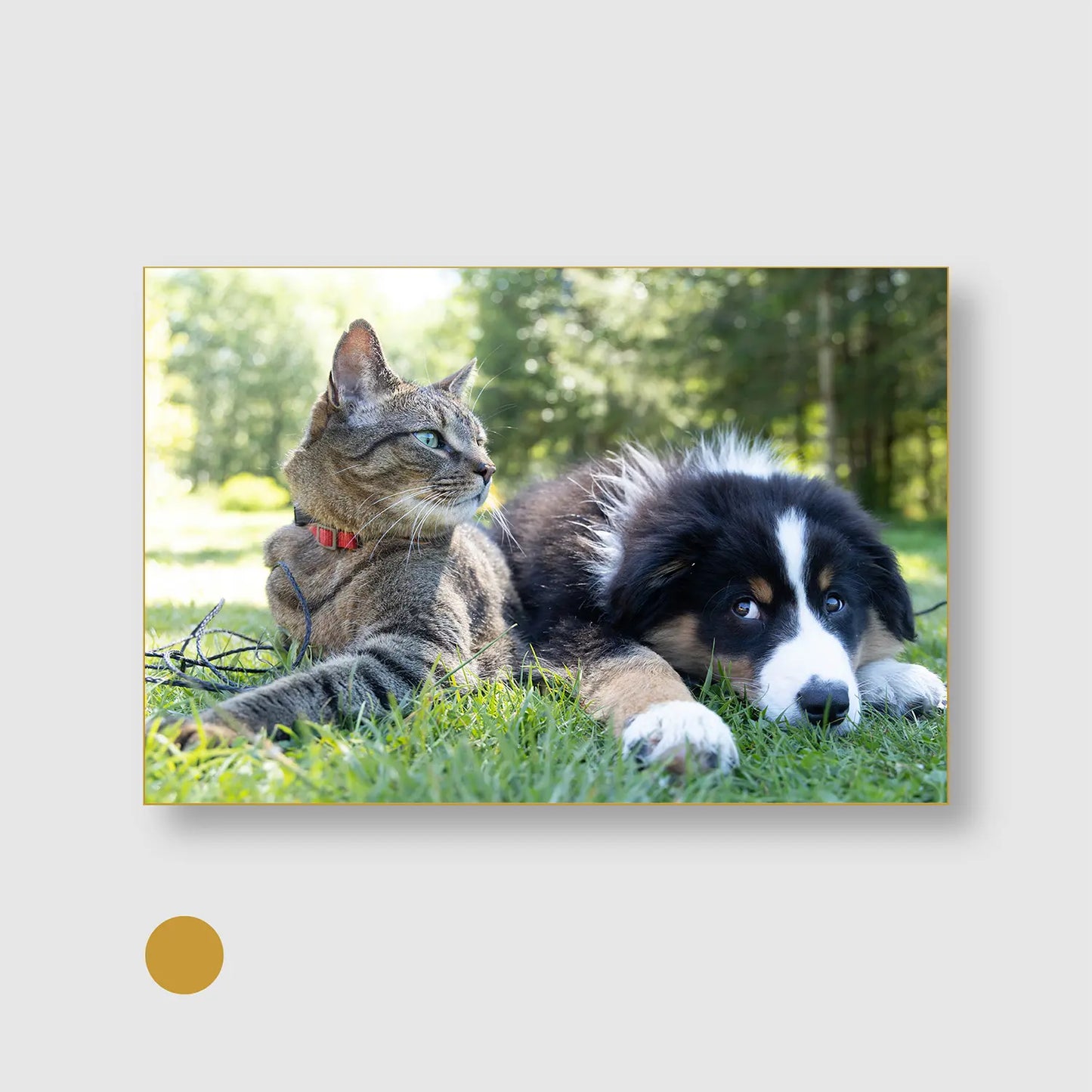 Whiskers and Paws (Graphic Only) with Gold Frame - Cozy Animals Wall Art
