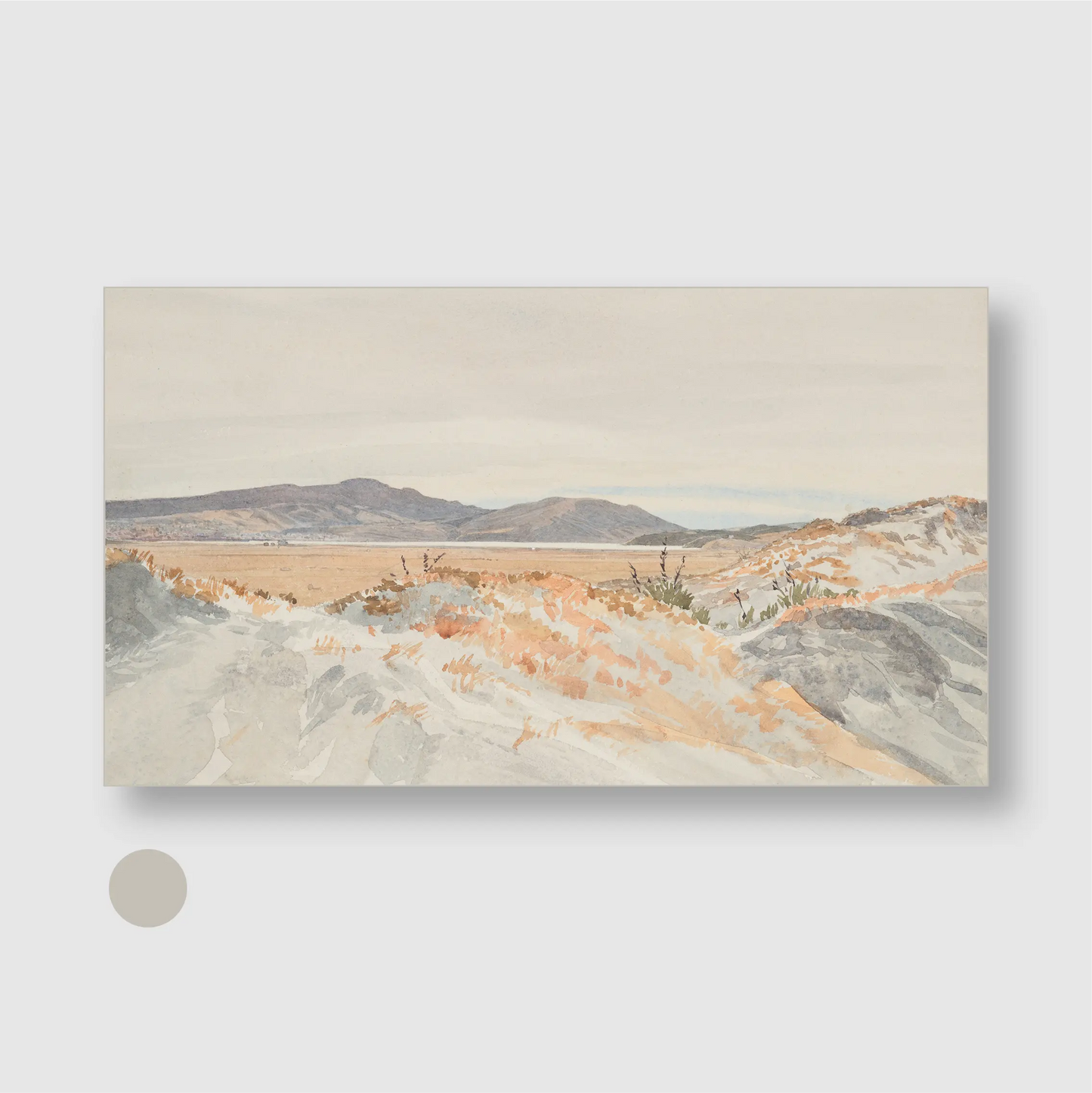 Coastal Dunes Landscape