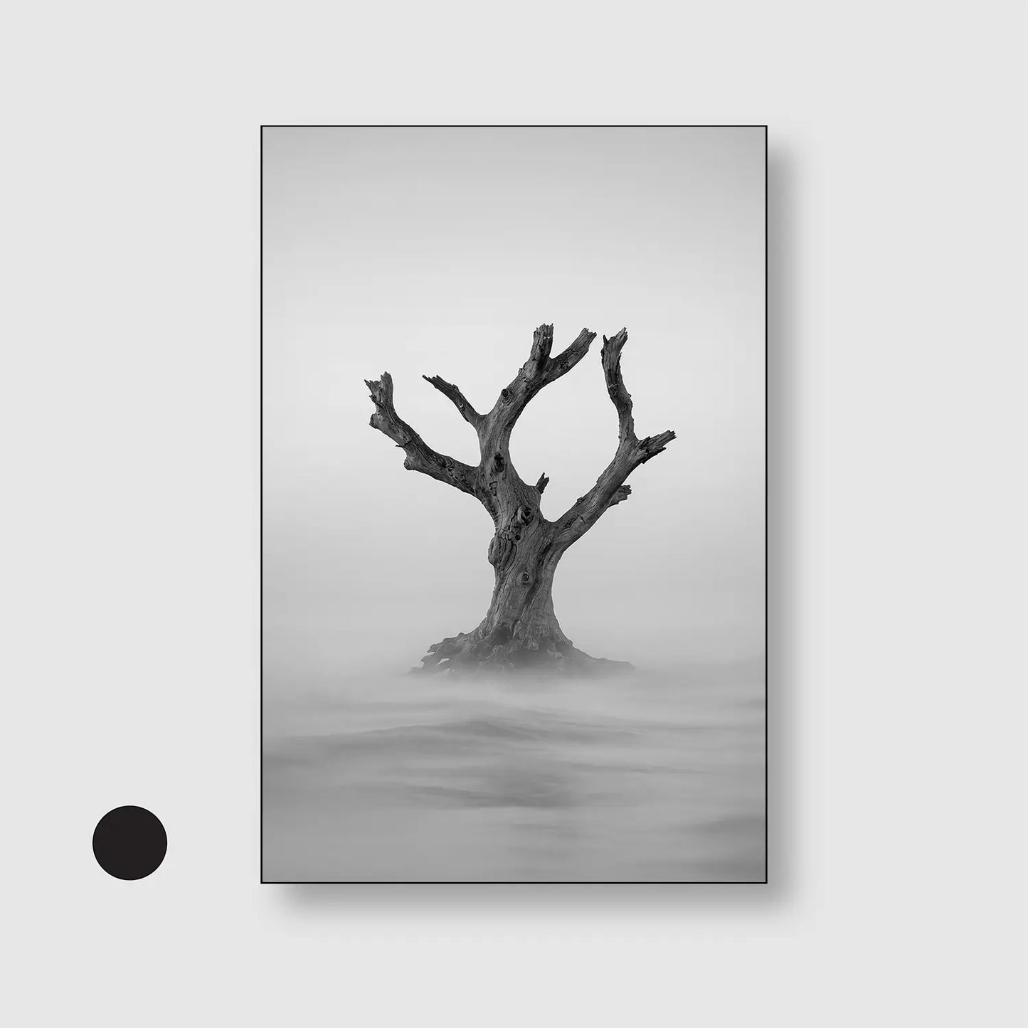 Solitude Rising Mist