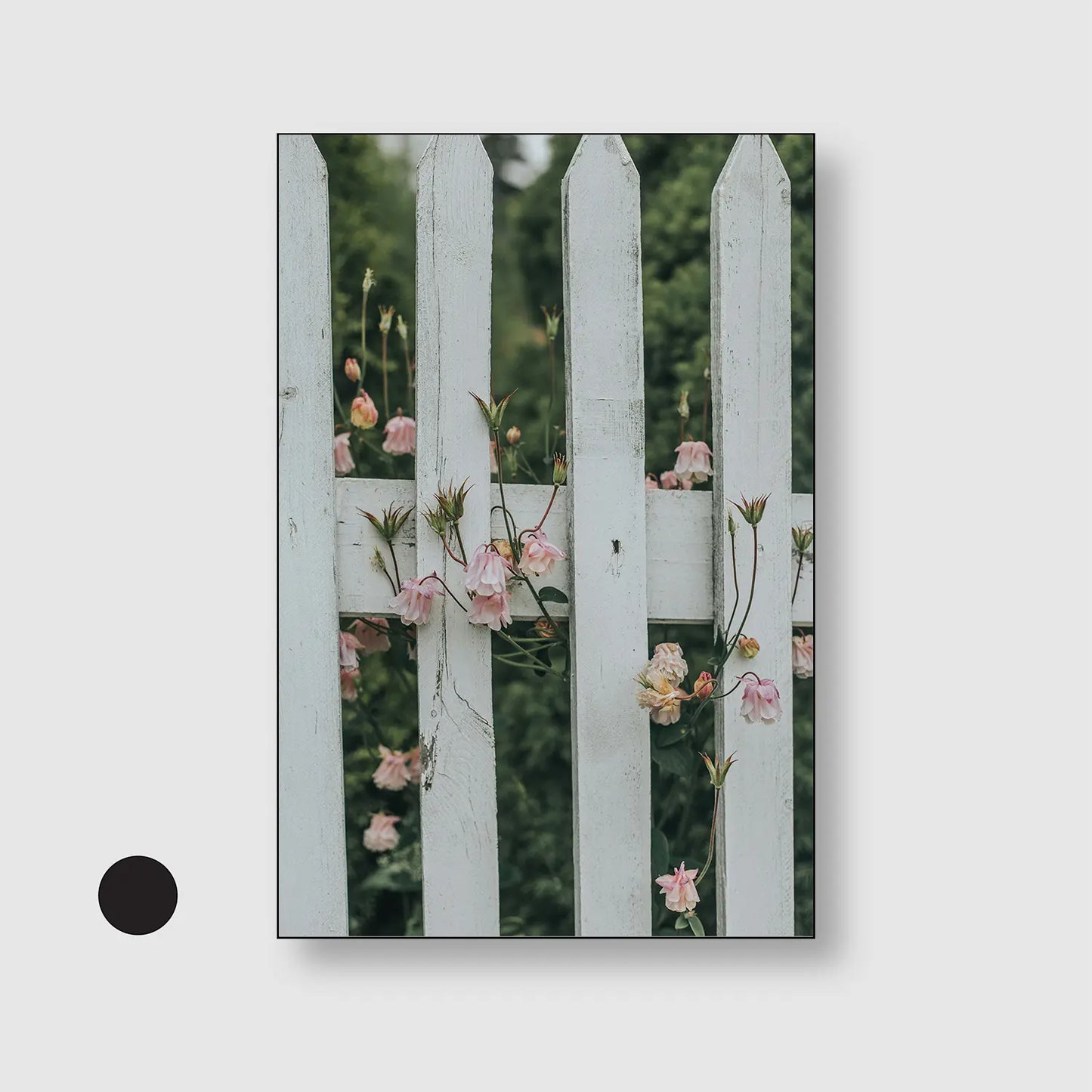 Blush Between the Boards (Graphic Only) with Black Frame - Serene Nature Wall Art