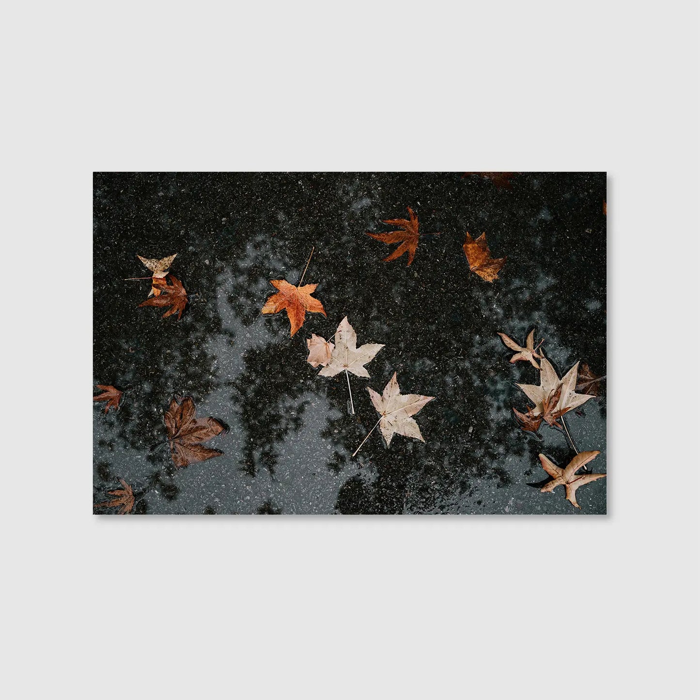 Autumn After Rain (Graphic Only) - Serene Nature Wall Art for Bedroom