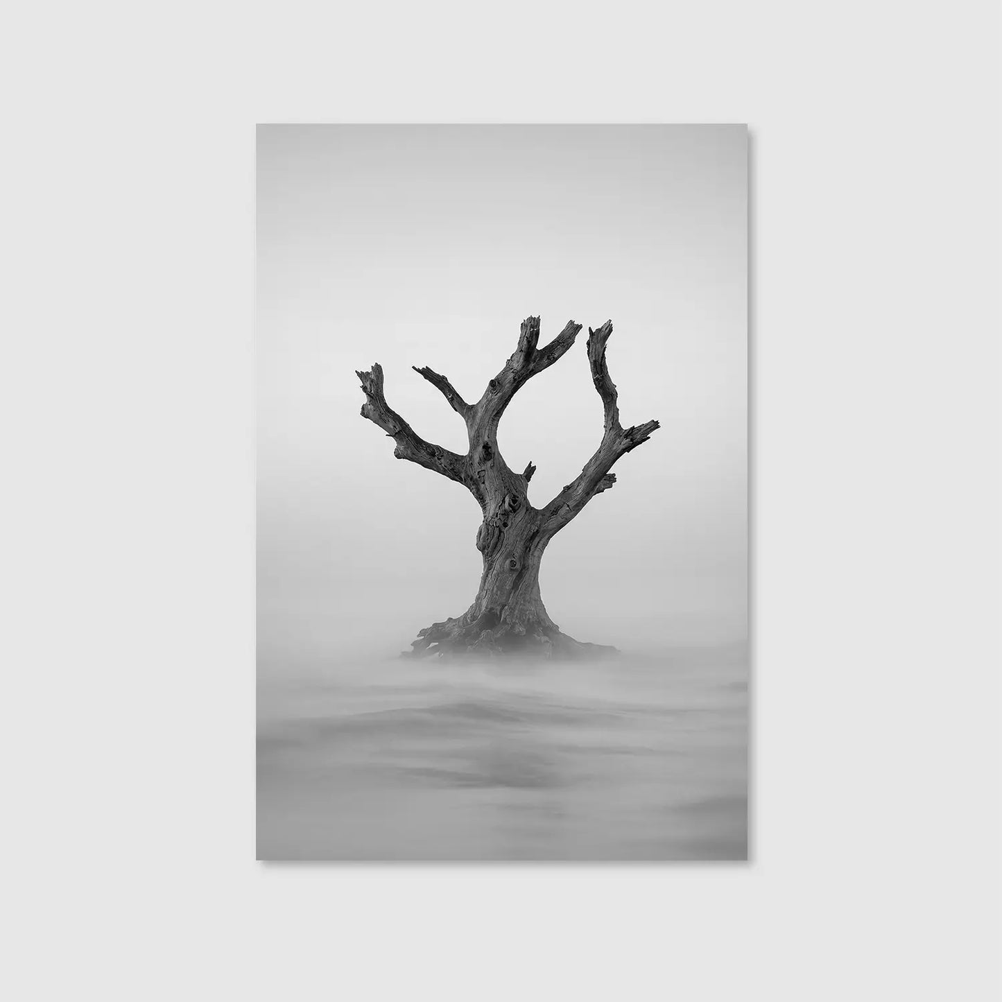 Solitude Rising Mist