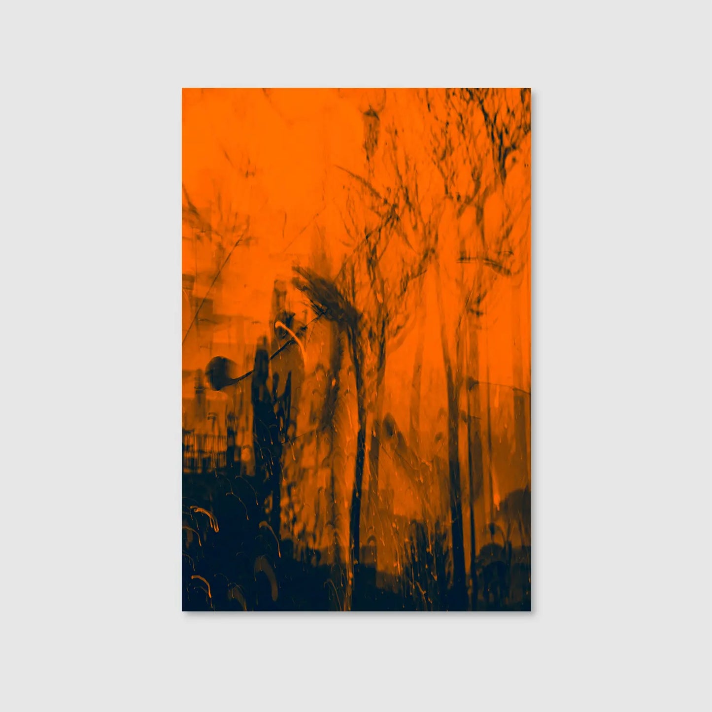 Forest Specter