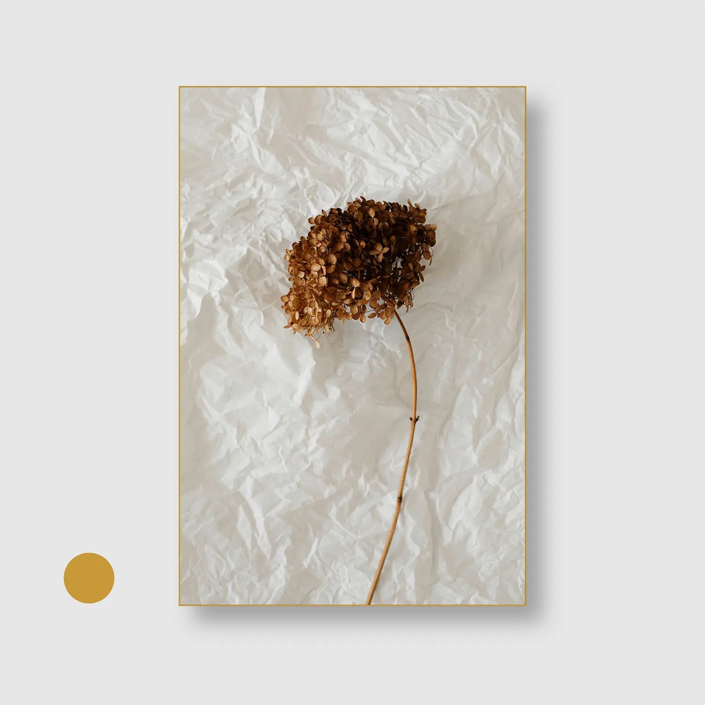 Paper & Petals (Graphic Only) with Gold Frame - Minimal Still life Wall Art