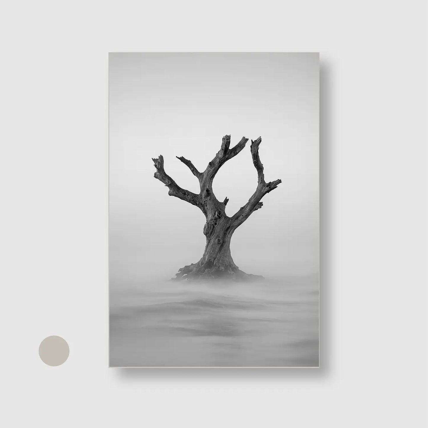 Solitude Rising Mist