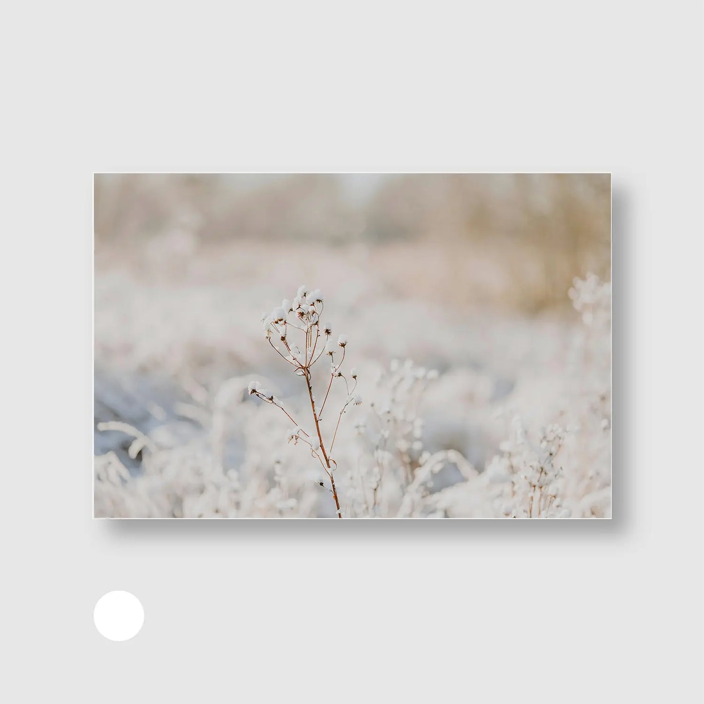 Winter’s Whisper (Graphic Only) with White Frame - Serene Nature Wall Art