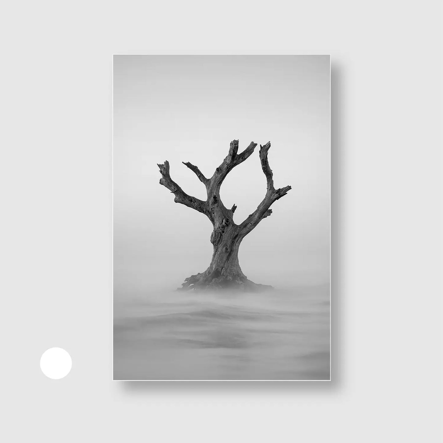 Solitude Rising Mist