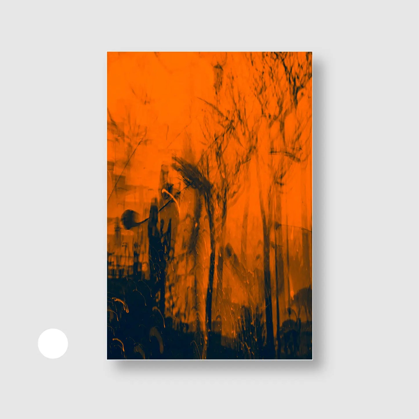Forest Specter