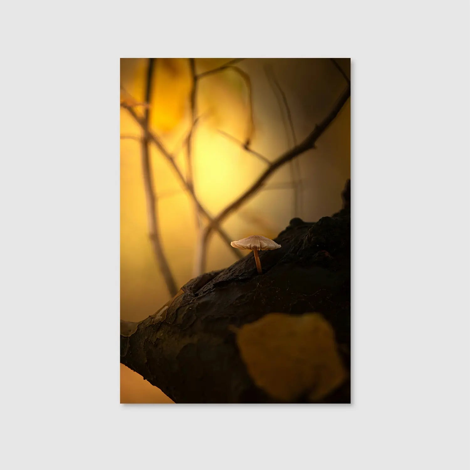 Whisper of the Woods (Graphic Only) - Dramatic Nature Wall Art for Bedroom