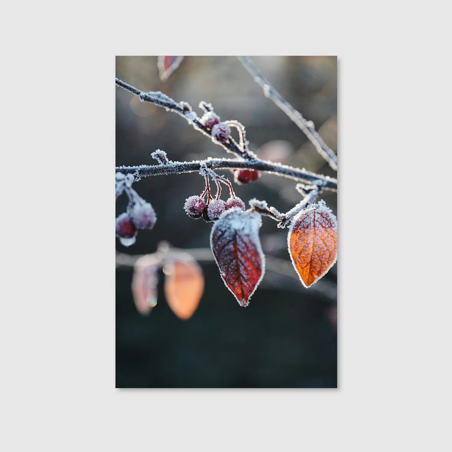 Frozen Garnet (Graphic Only) - Serene Nature Wall Art for Living room