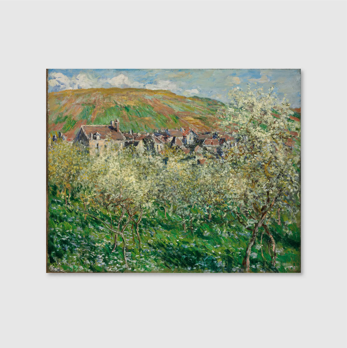 Plum Trees in Blossom