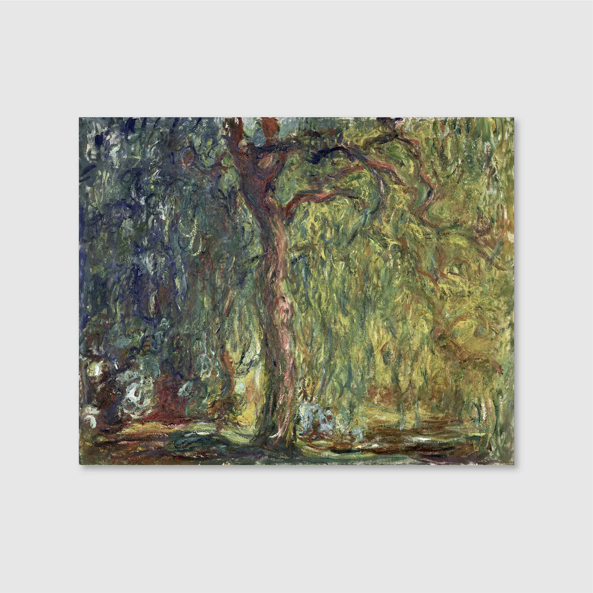Weeping Willow