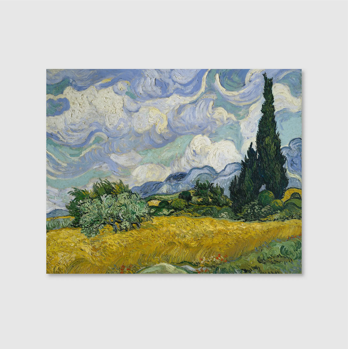 Wheat Field with Cypresses