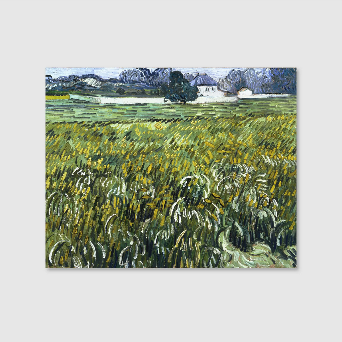 Wheat Field at Auvers with White House