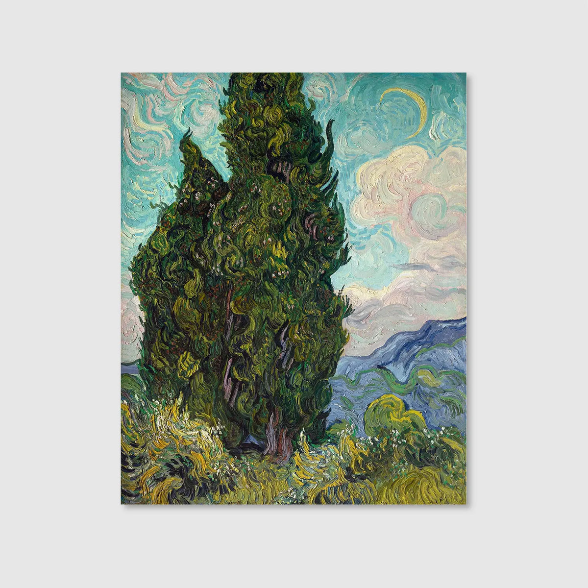 Cypresses