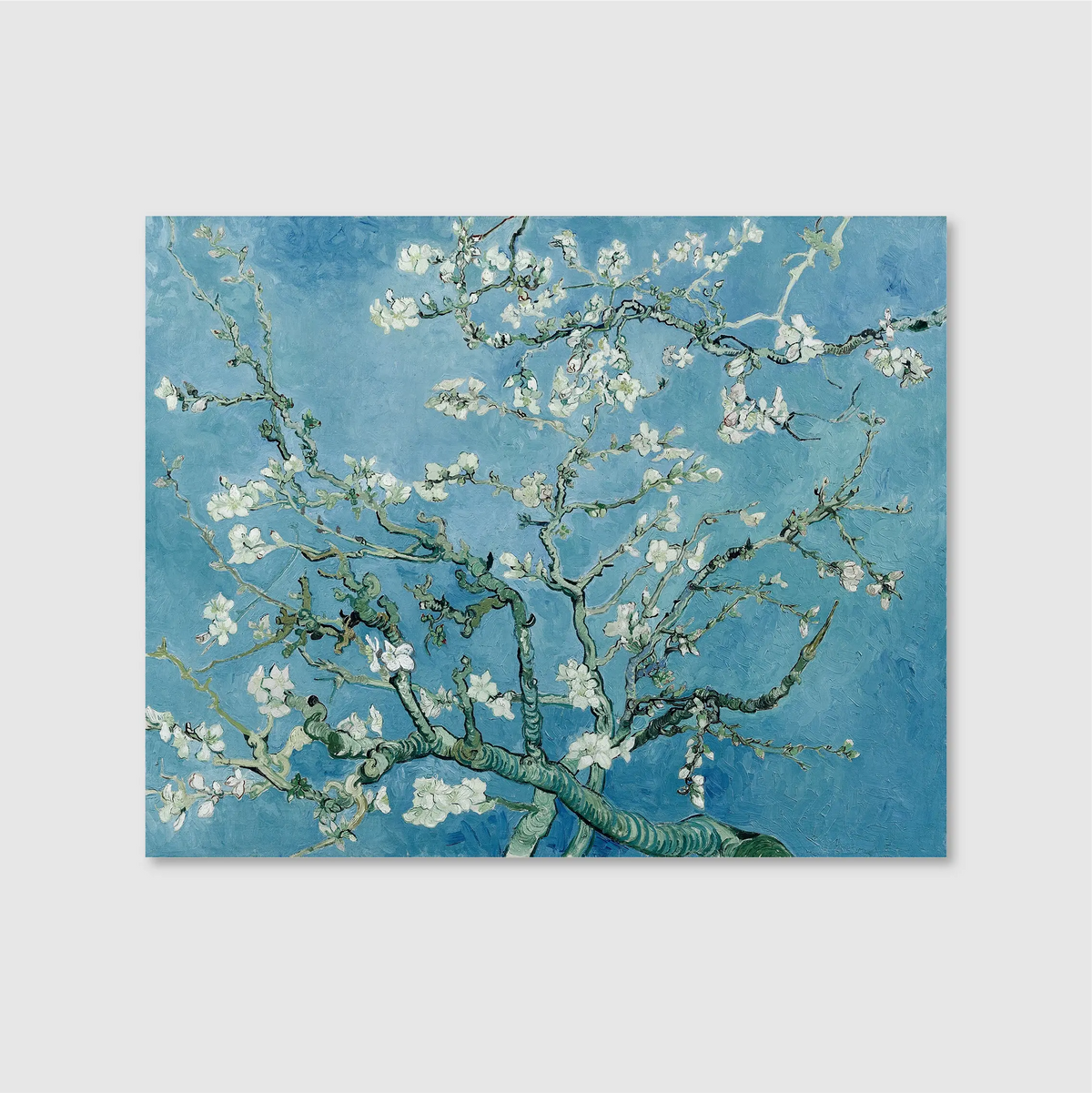 Almond Blossom
