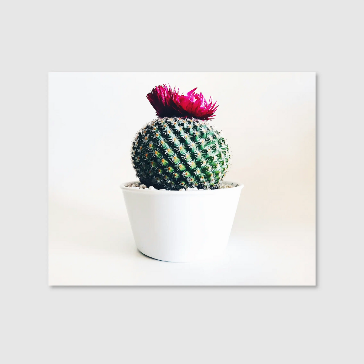 Desert Bloom Crown