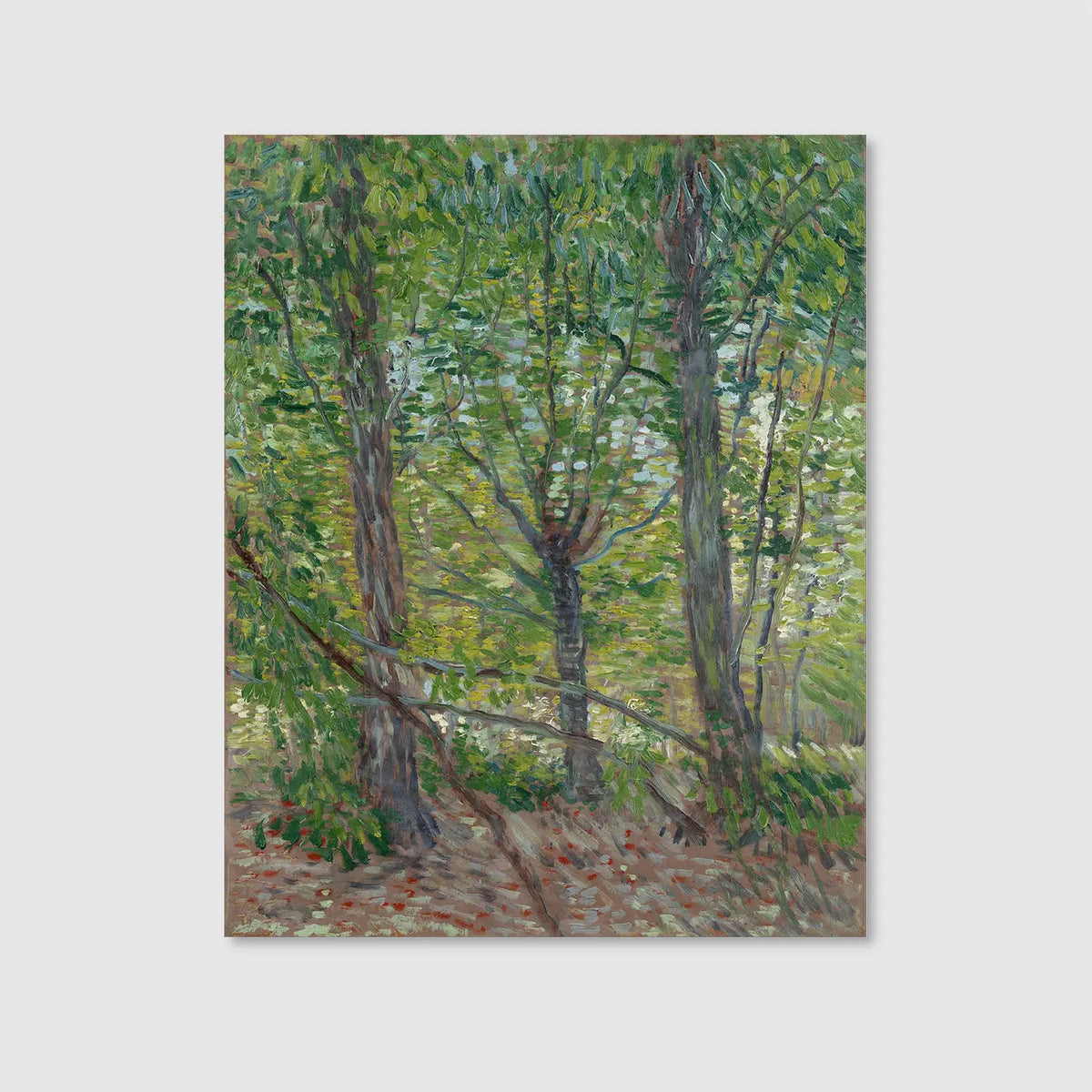 Trees