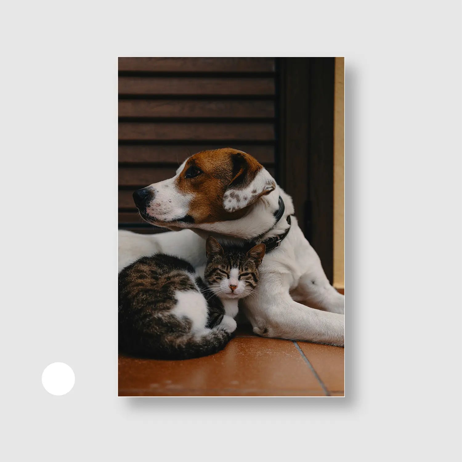 Companions at Rest (Graphic Only) with White Frame - Cozy Animals Wall Art