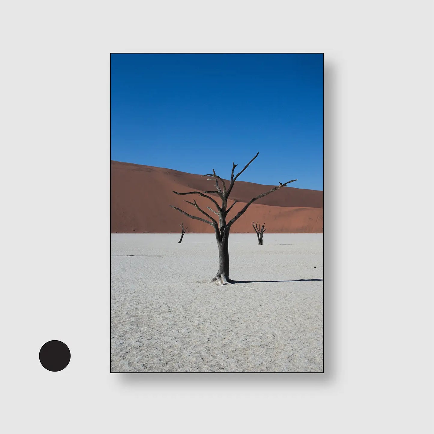 Bones of the Desert