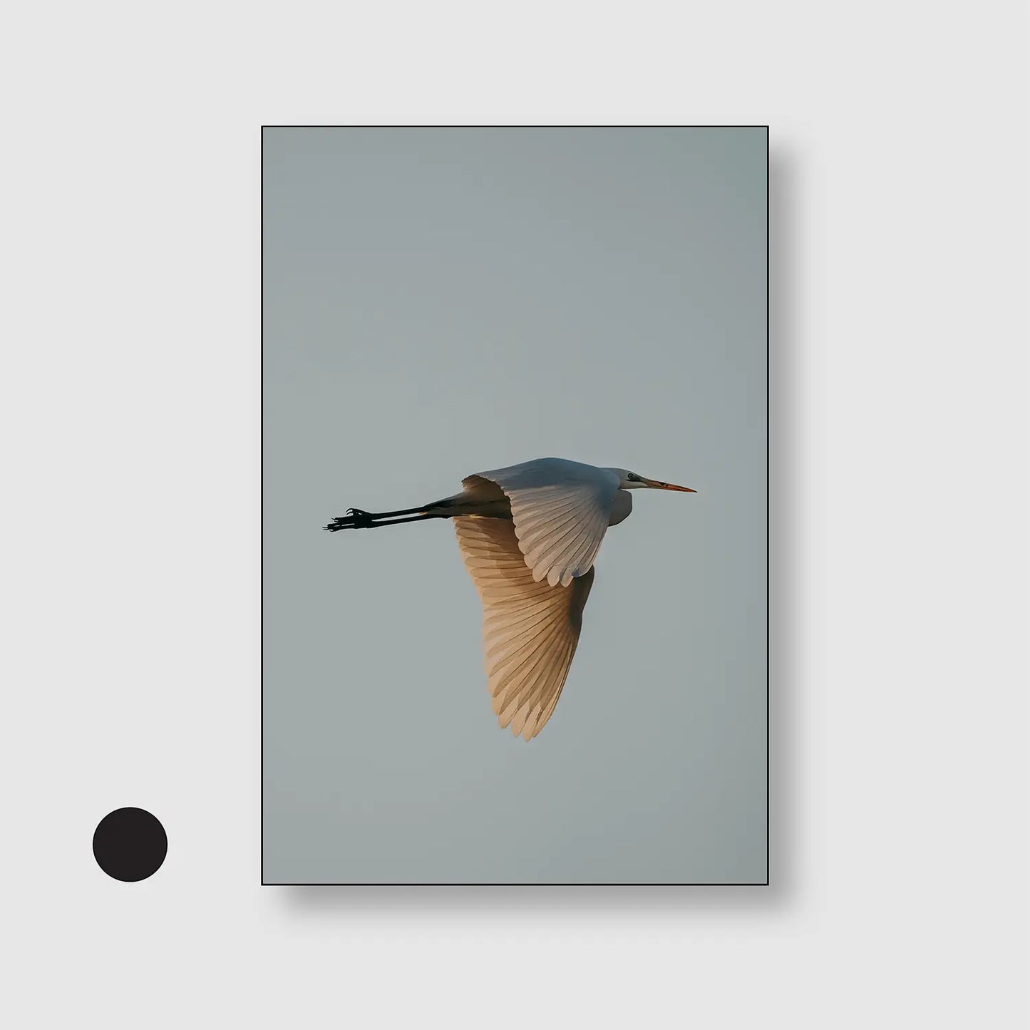 Solitary Soar (Graphic Only) with Black Frame - Serene Nature Wall Art