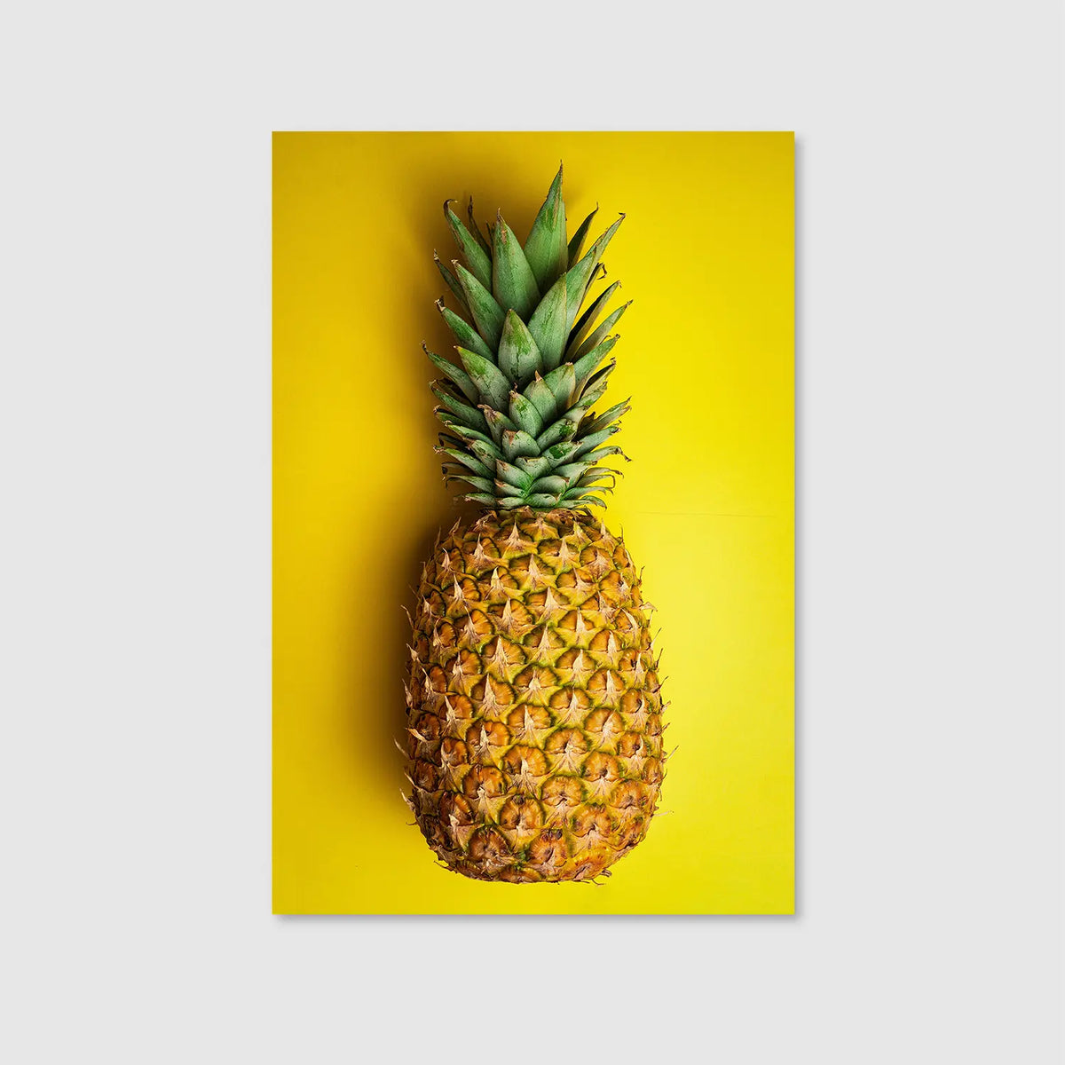 Tropical Golden Hour