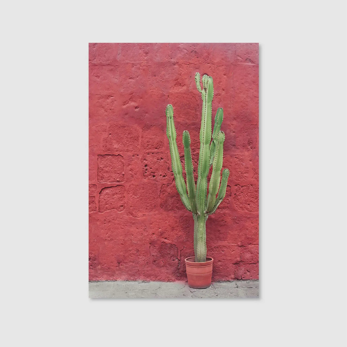 Desert Blush