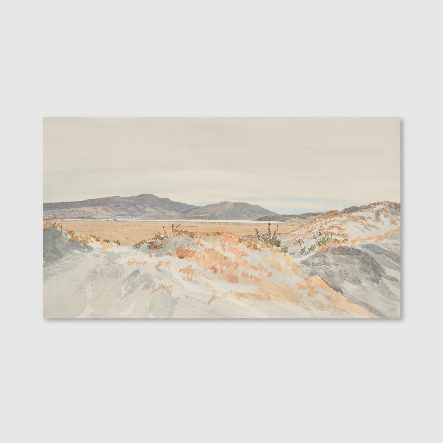 Coastal Dunes Landscape