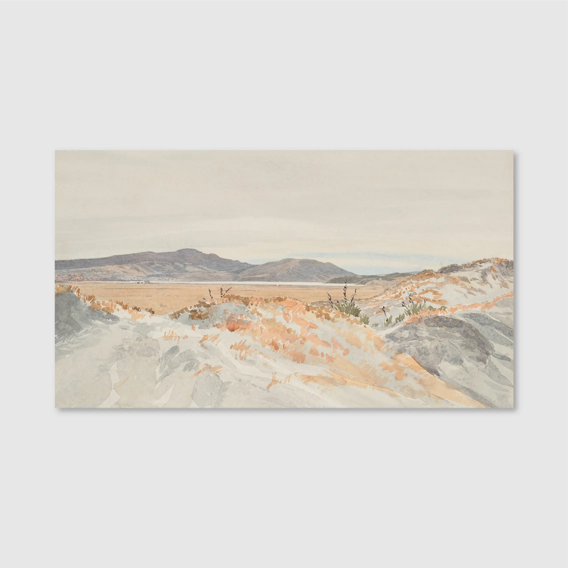 Coastal Dunes Landscape