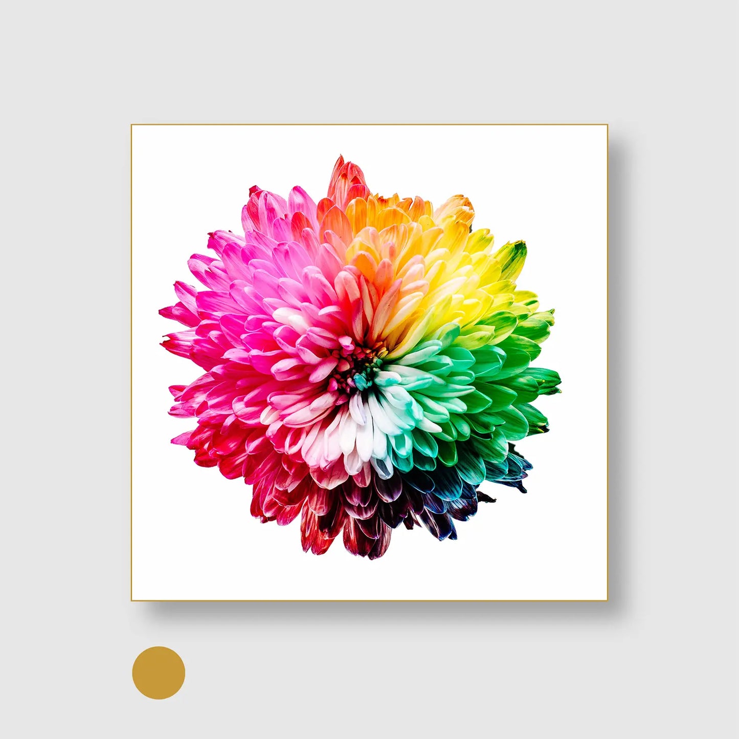 Chromatic Bloom