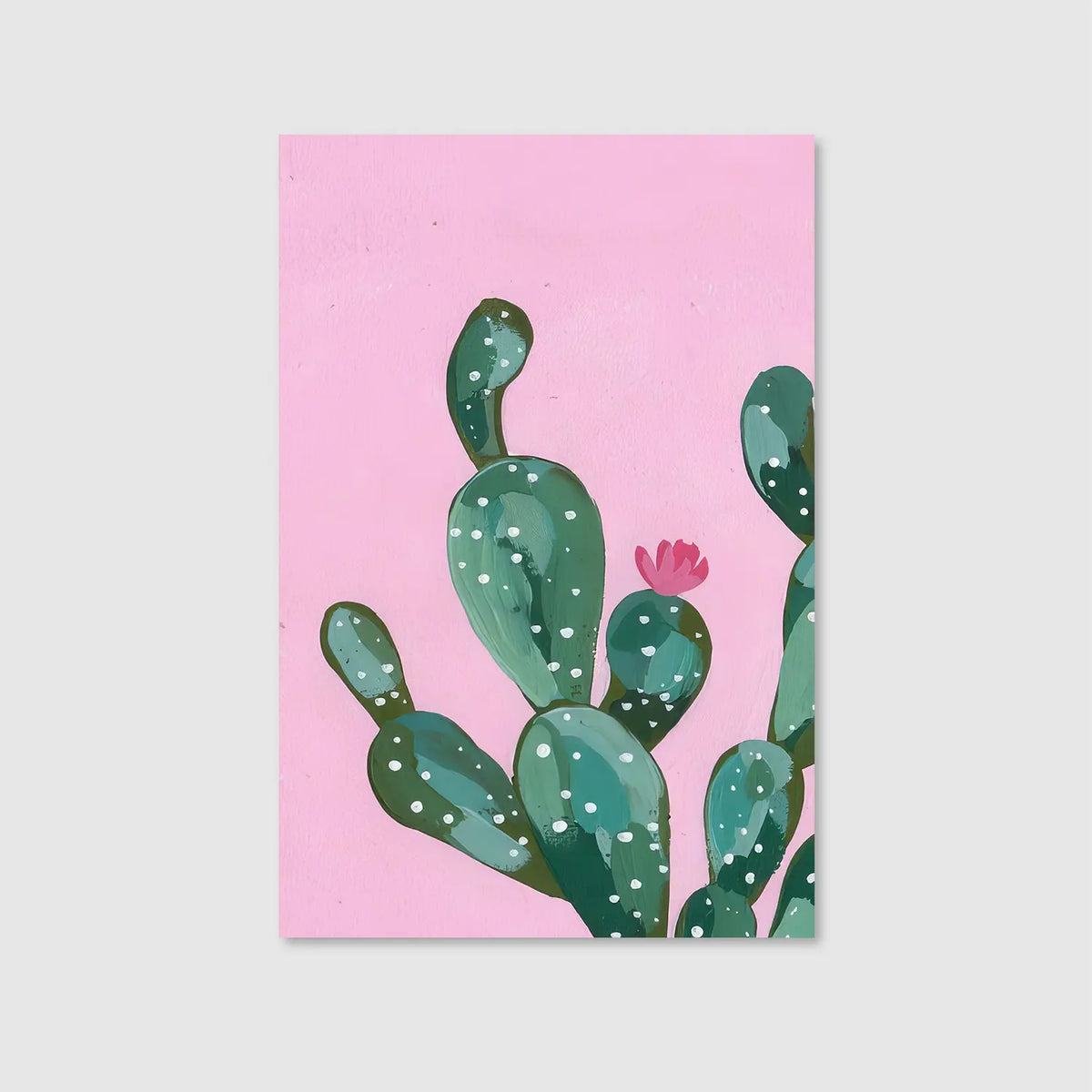 Desert Bloom Blush