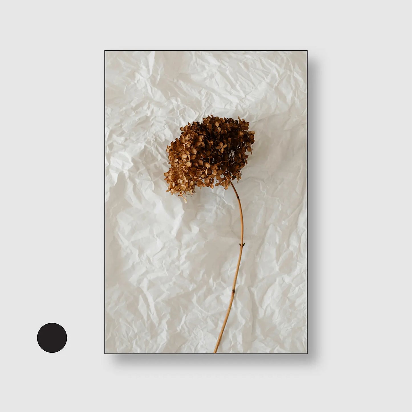 Paper & Petals (Graphic Only) with Black Frame - Minimal Still life Wall Art