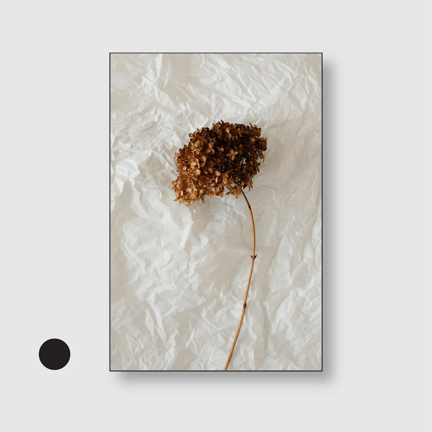 Paper & Petals (Graphic Only) with Black Frame - Minimal Still life Wall Art