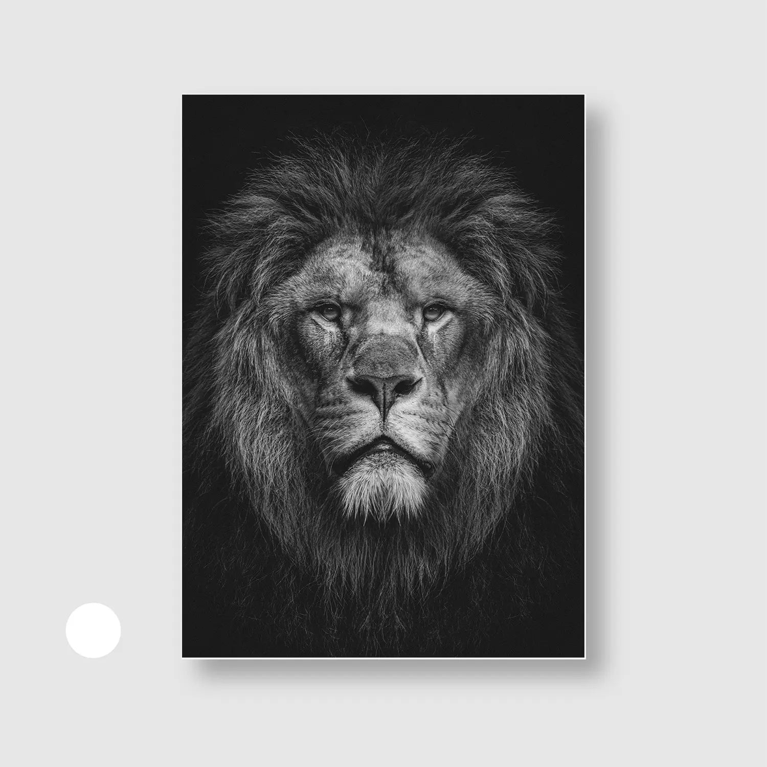 King of Stillness (Graphic Only) with White Frame - Dramatic Animals Wall Art
