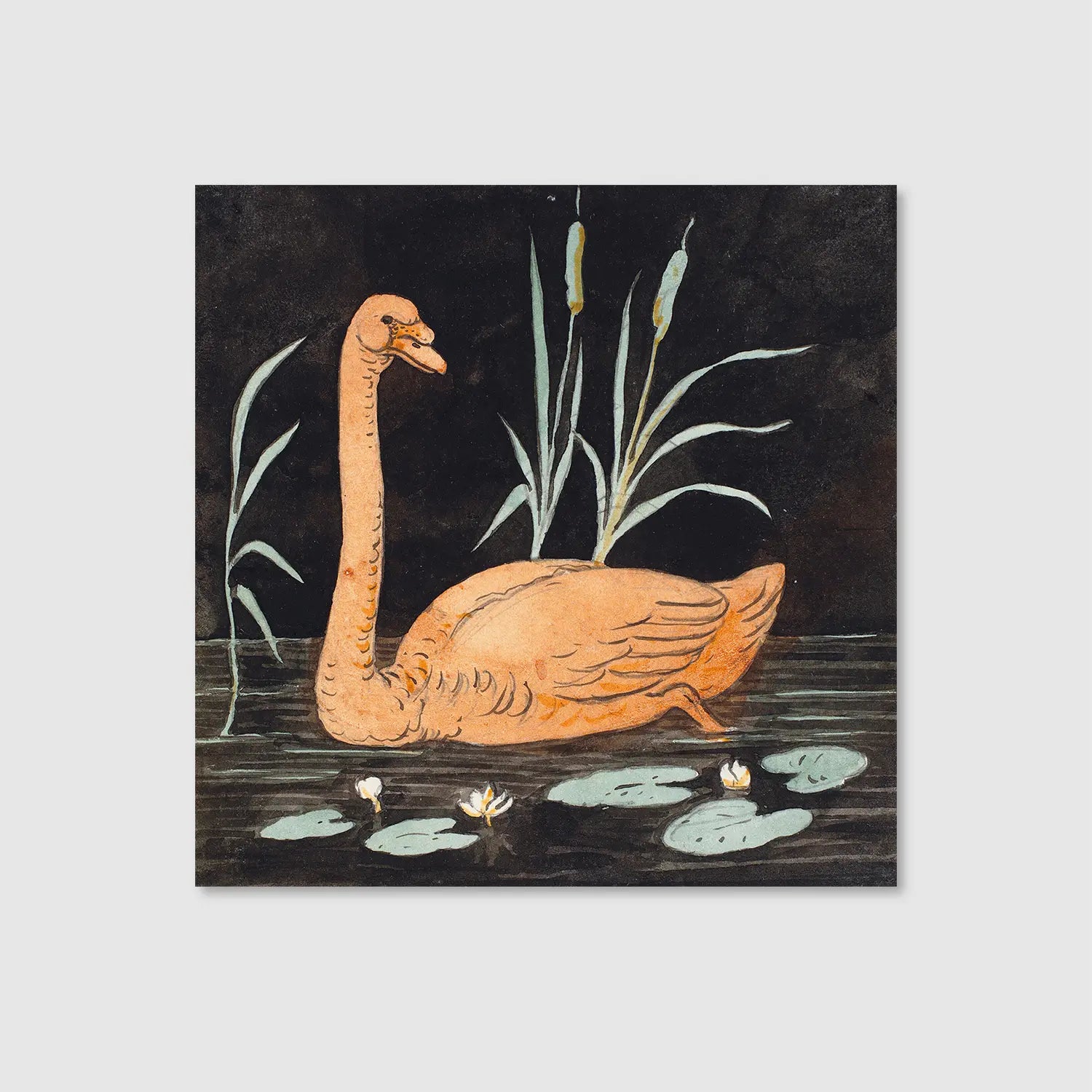 Swan on a black background (Graphic Only) - Playful Animals Wall Art for Kids room