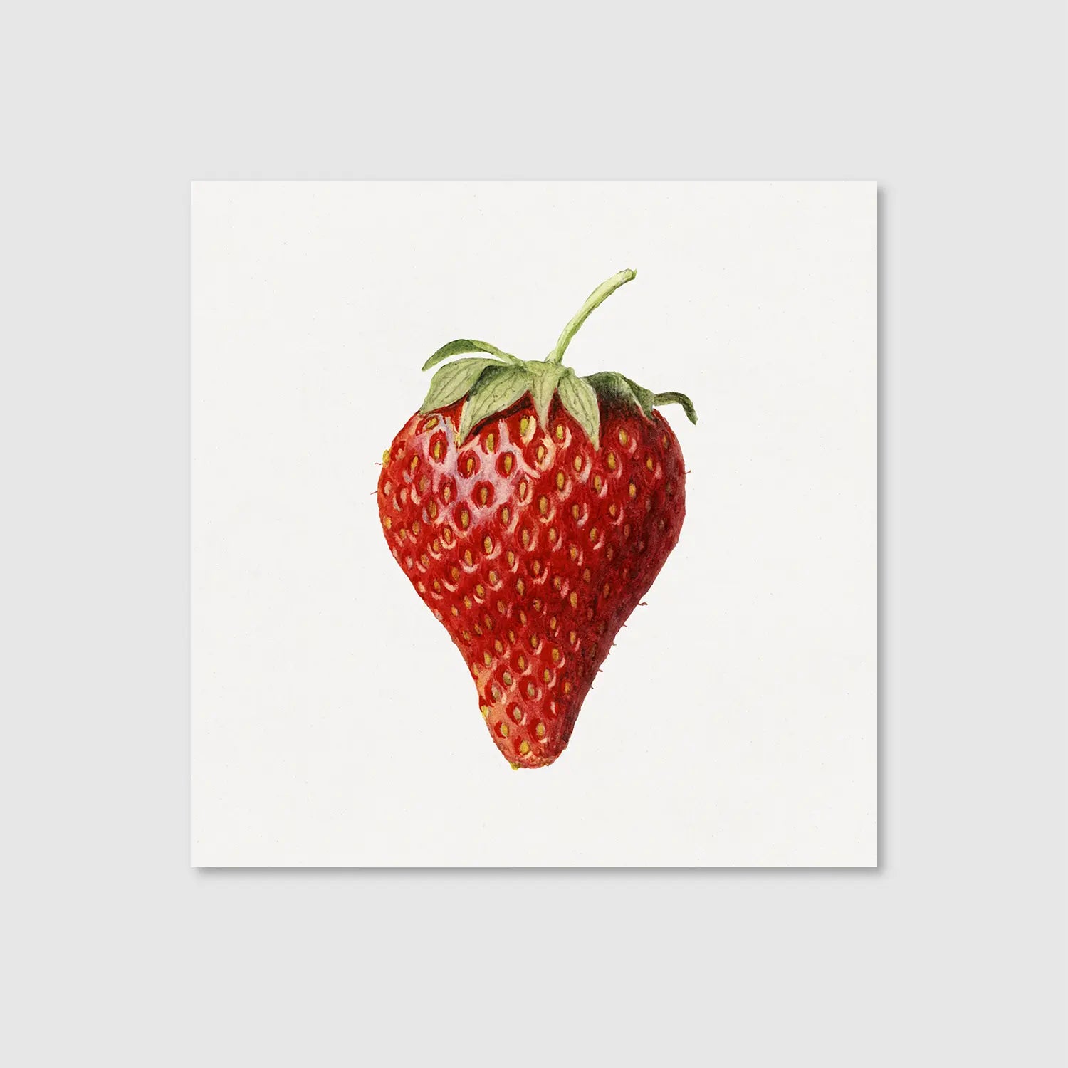 Strawberry Simplicity