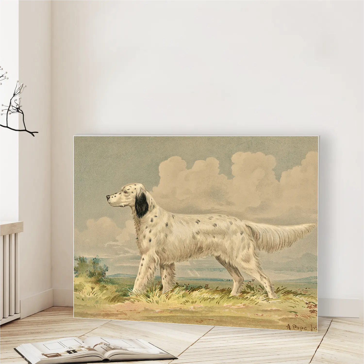 Standing English Setter