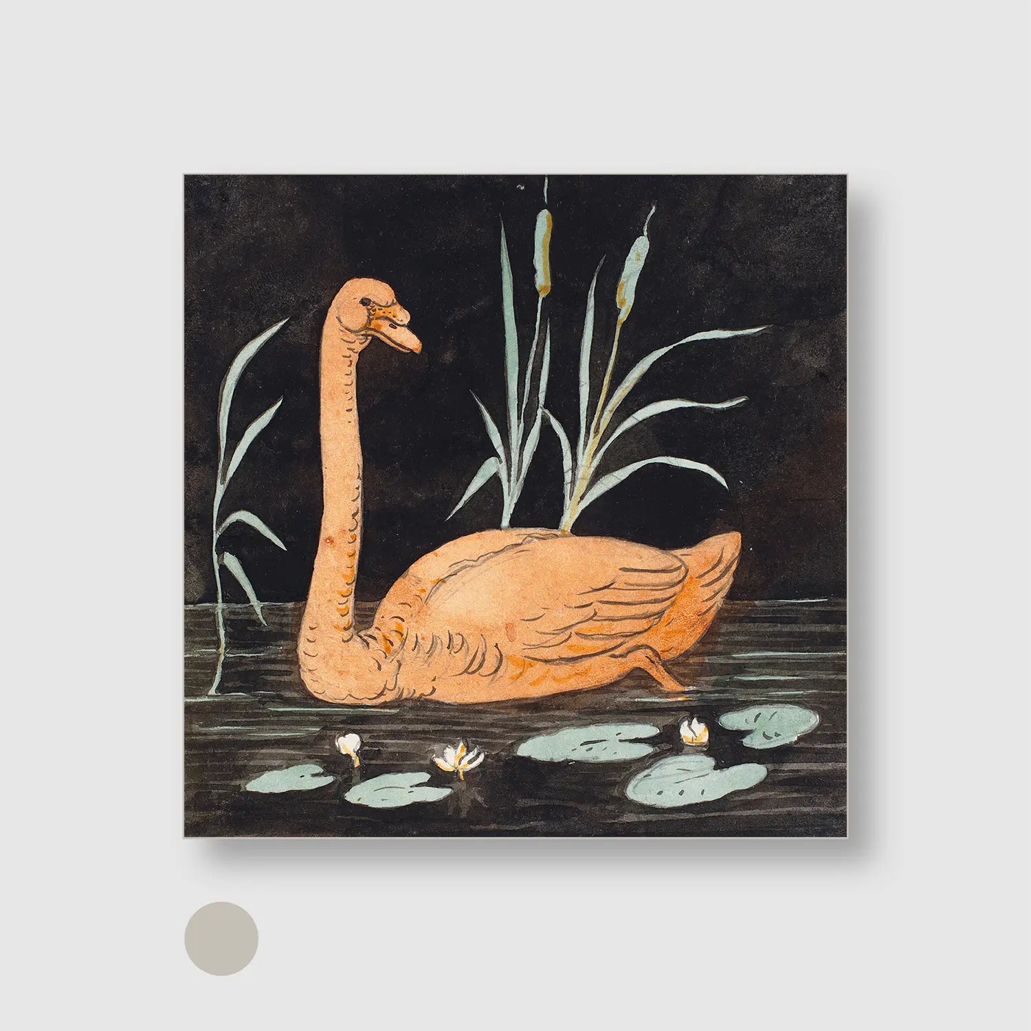 Swan on a black background with Silver Frame - Playful Animals Wall Art