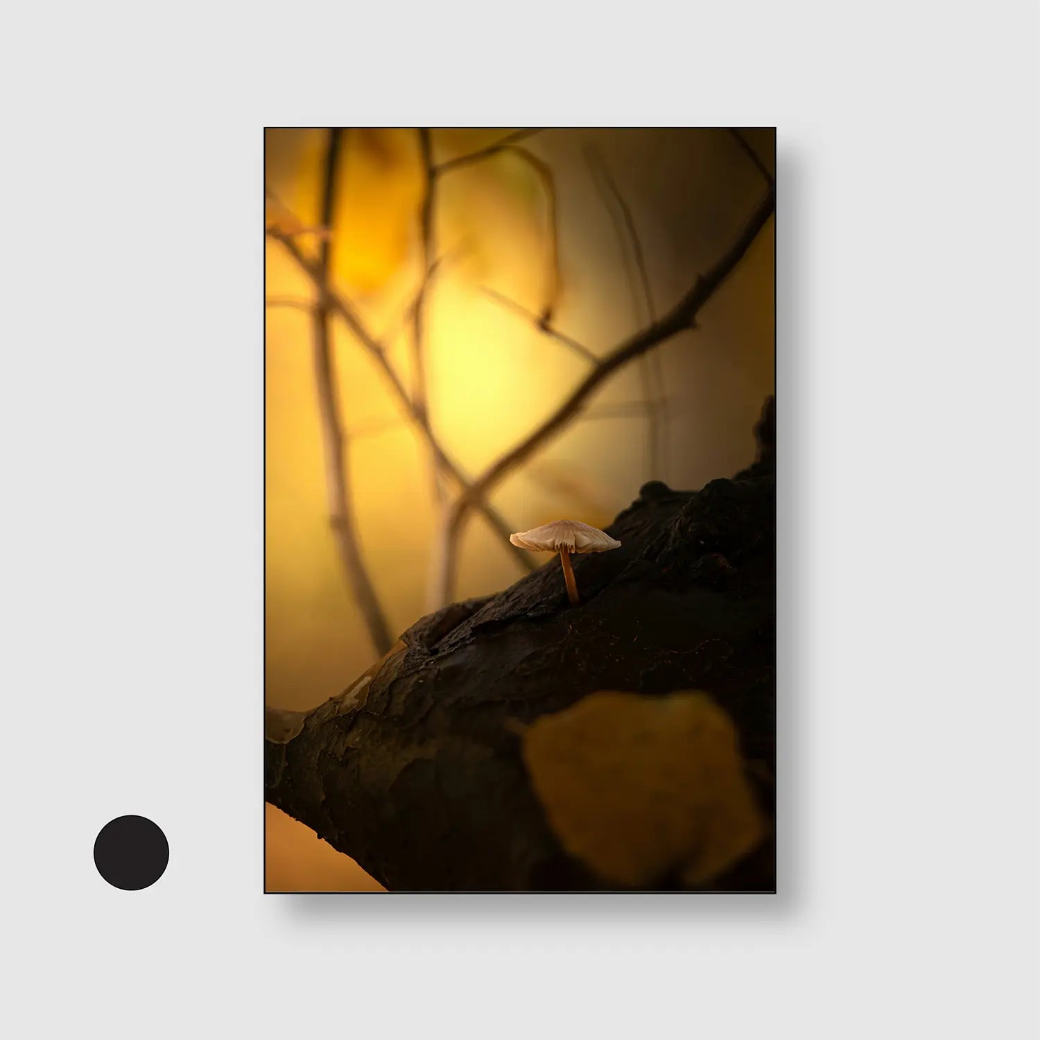 Whisper of the Woods (Graphic Only) with Black Frame - Dramatic Nature Wall Art