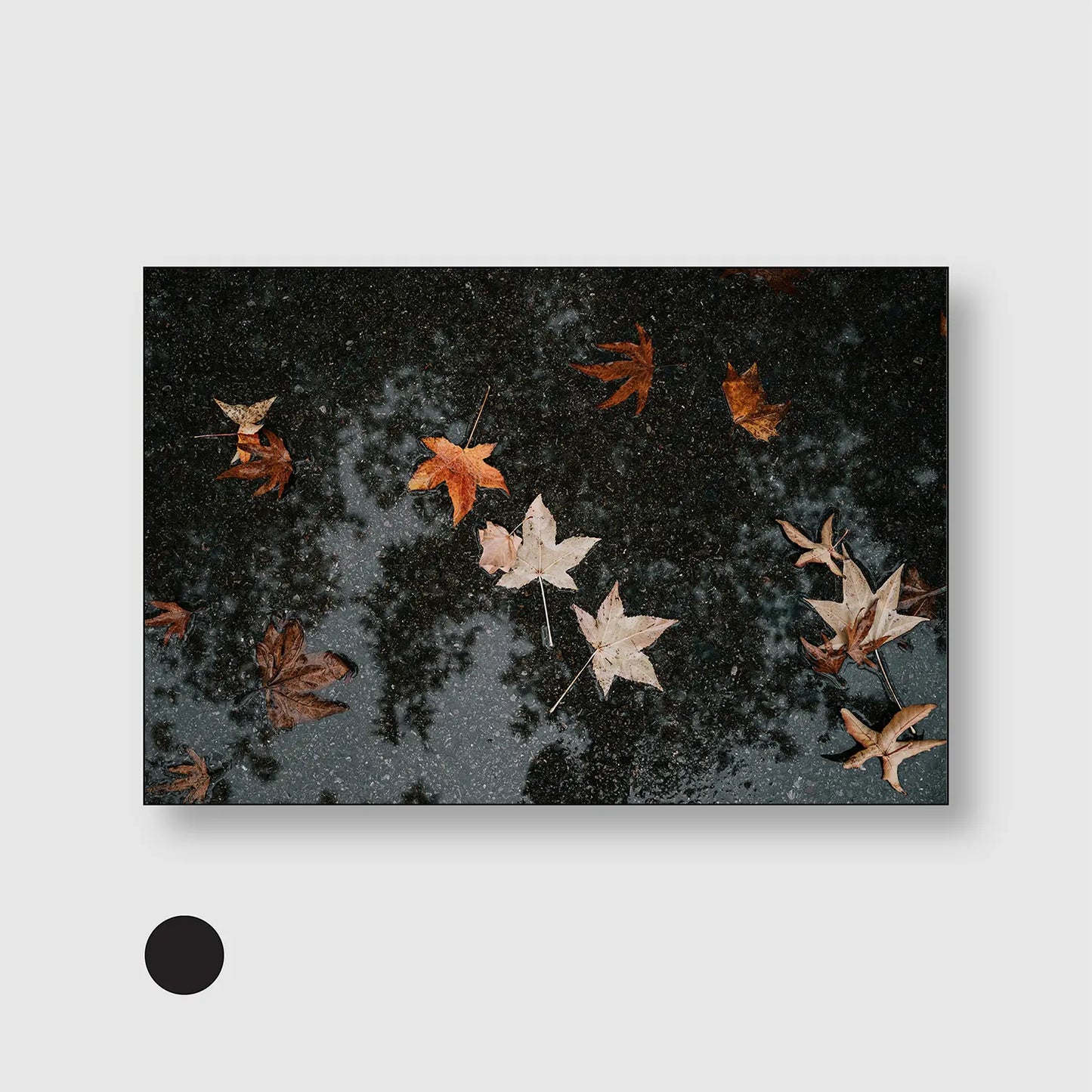Autumn After Rain (Graphic Only) with Black Frame - Serene Nature Wall Art