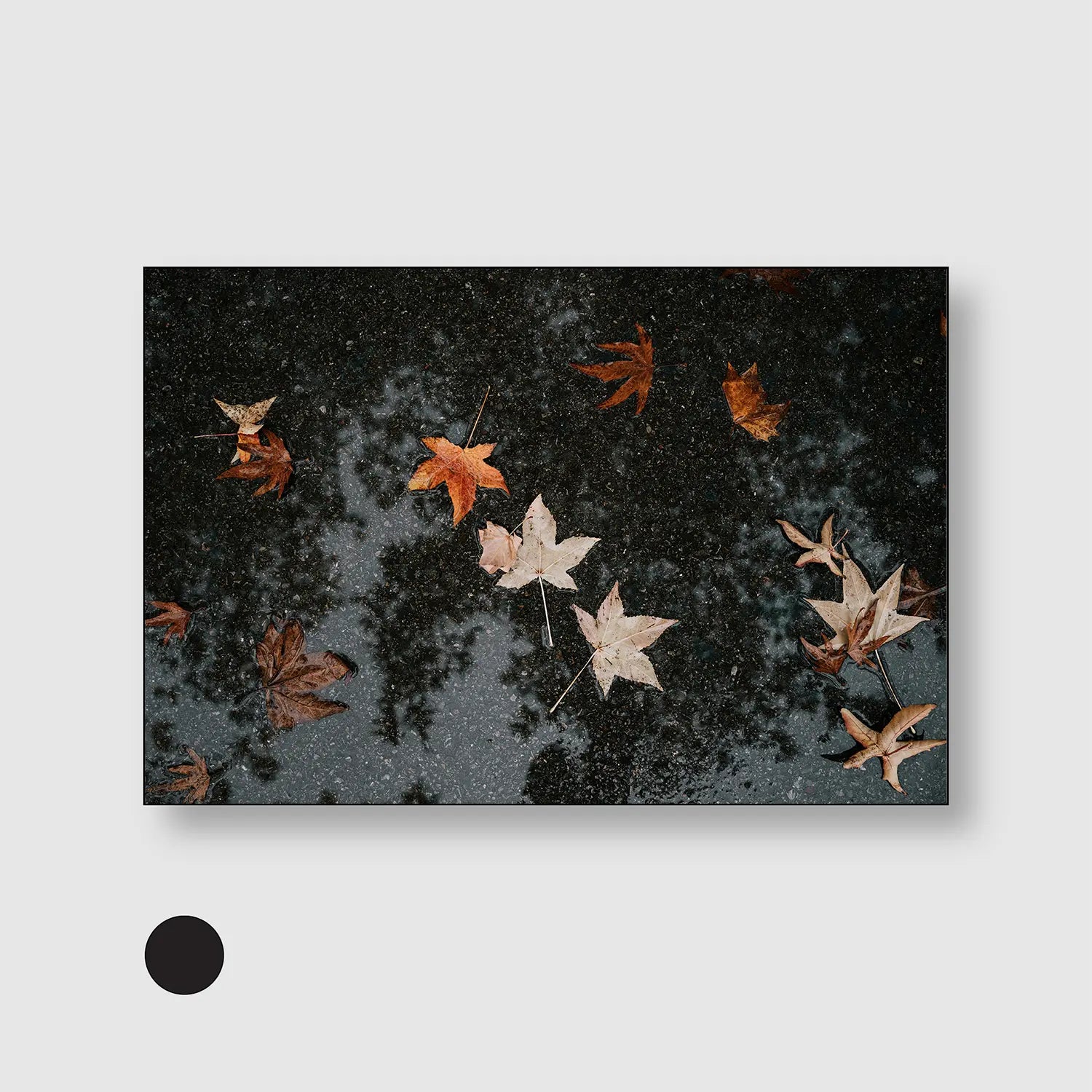 Autumn After Rain (Graphic Only) with Black Frame - Serene Nature Wall Art