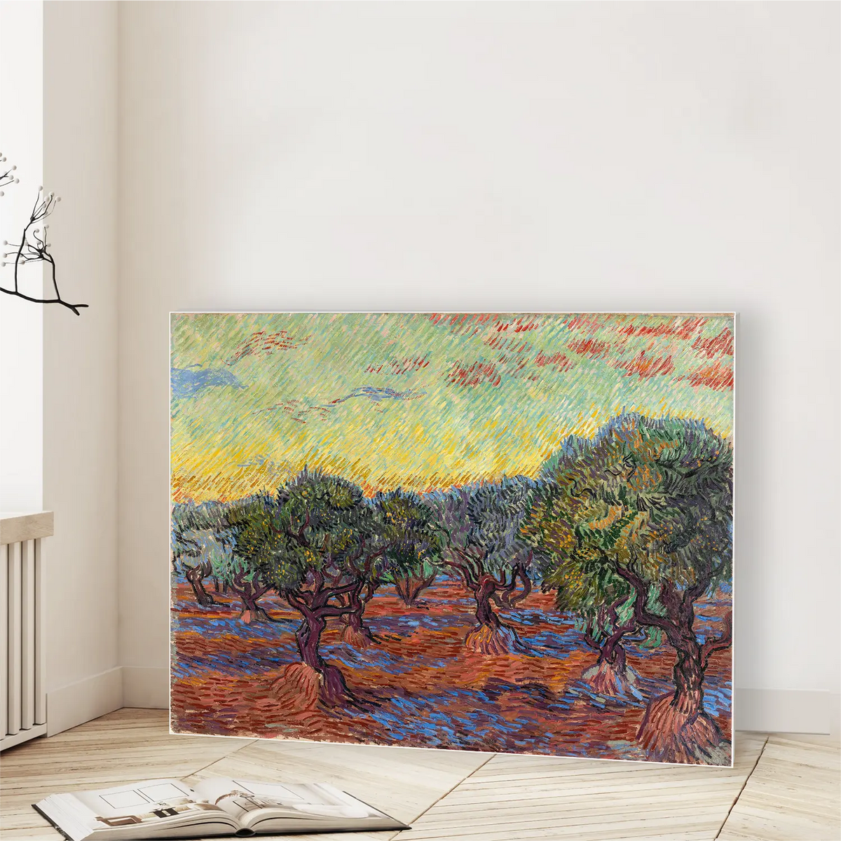 Olive Grove
