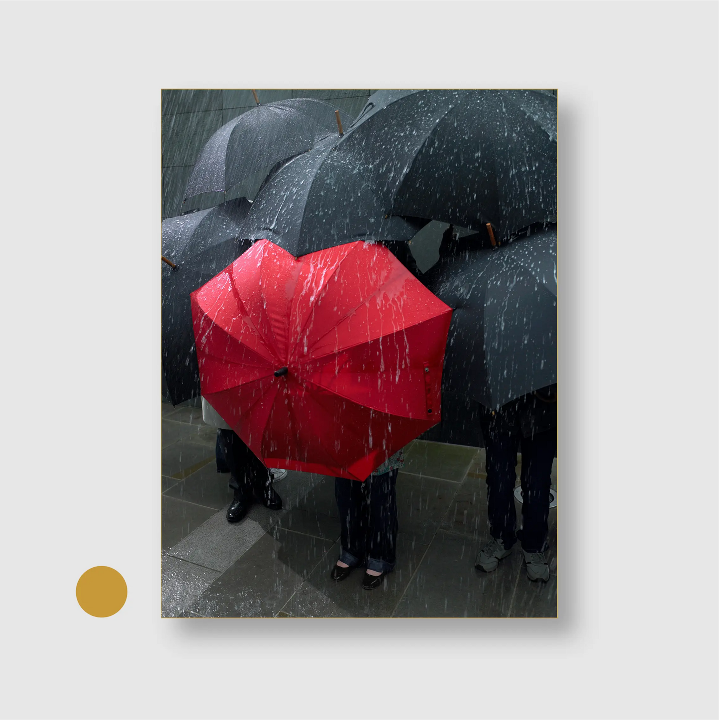 Rebel Rain Red
